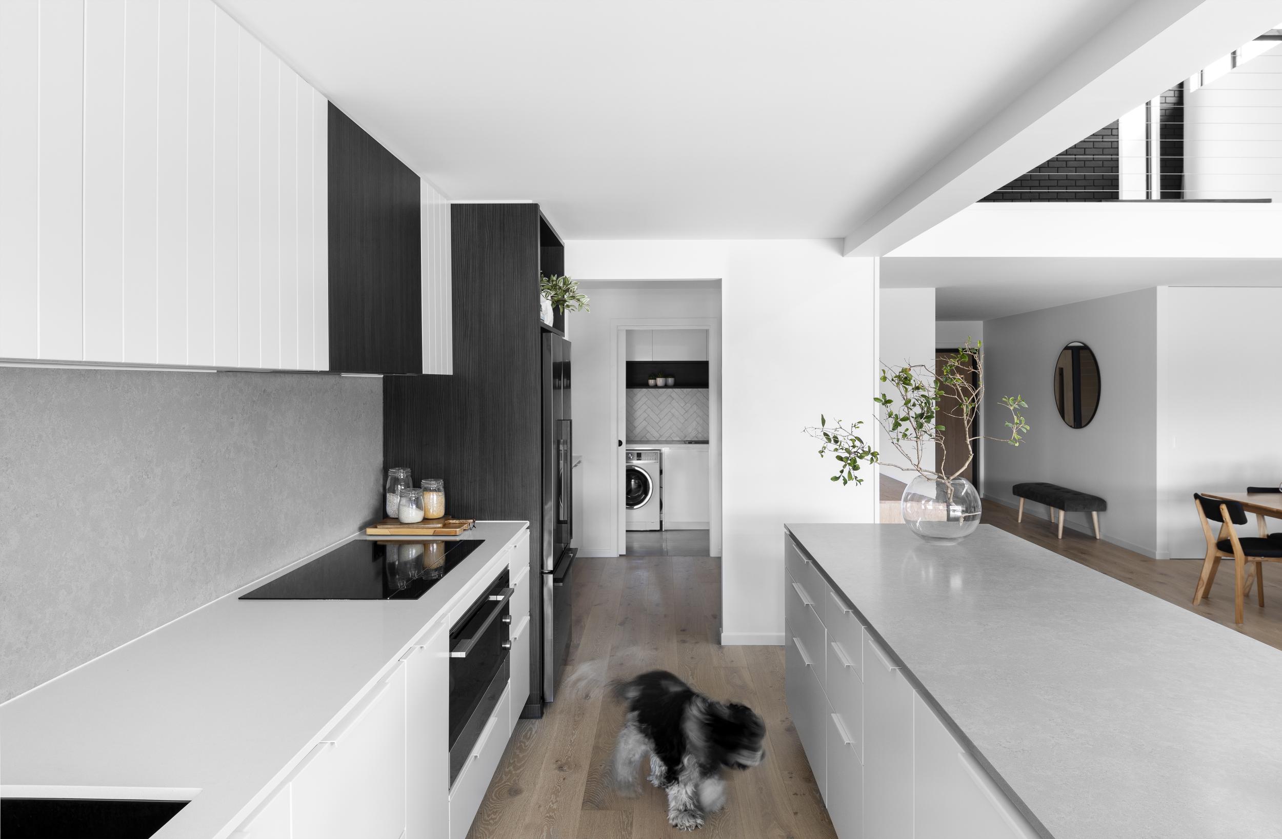 Bv Kitchen Dog A3